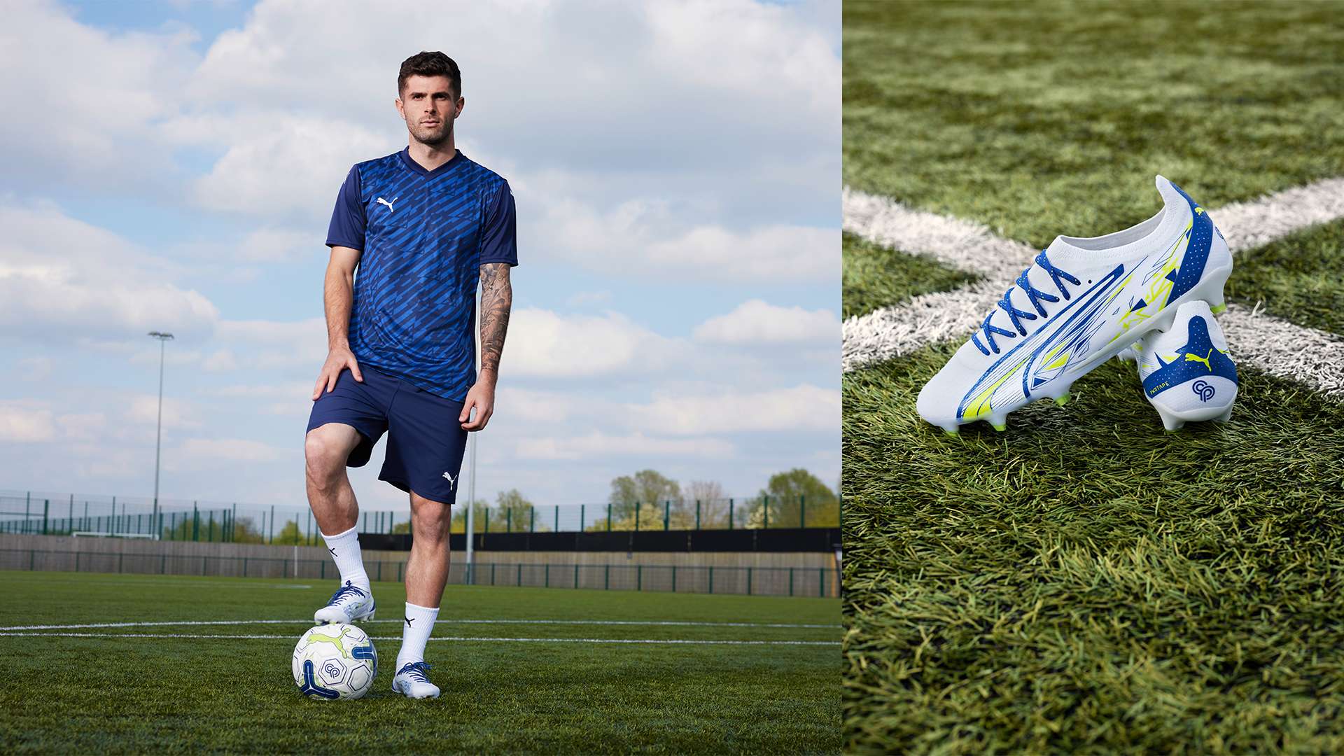 的豪华阵容 的豪华阵容