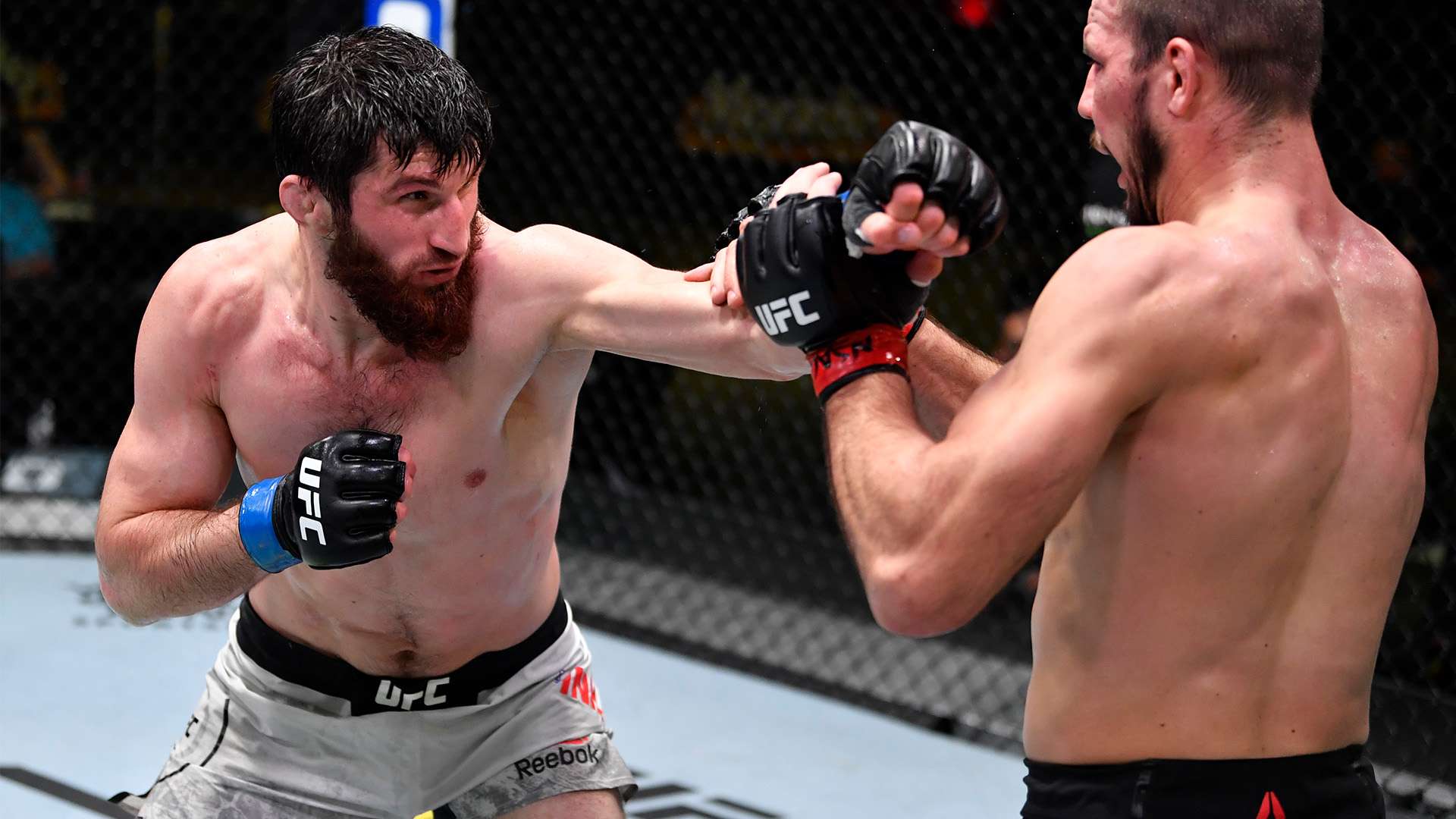 的少数成功 的少数成功